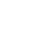 The Jester Sports and Entertainment